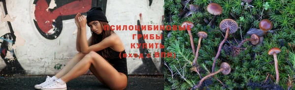 метадон Арсеньев